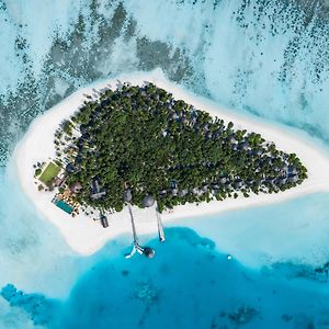 Angsana Velavaru - Enjoy 50 Percent Off Seaplane And 2 Times Free Excursions For 2 Pax, Book Stay Period From18 June To 30 Sep 2025